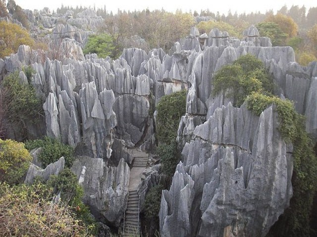 Chinese stone forest