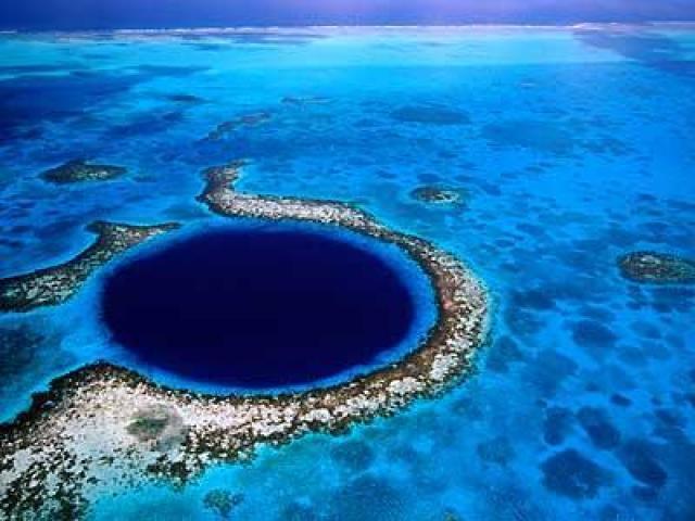  reef in belize 